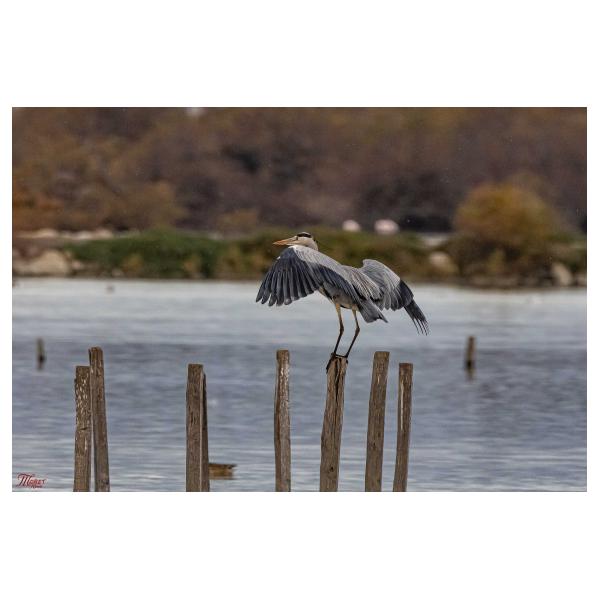 PHOTO84, CLUB, 84 , LUBERON